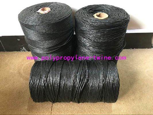 Fibrillated Twisted PP Filler Yarn Best Breaking Load Winding on Paper Tube