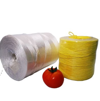 Colorful PP Polypropylene Twine Rope UV Resistant High Strength Twisted Baler Twine for Farm Greenhouse Garden Tomato Vine Support Bundling Packing