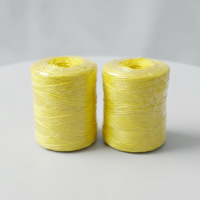Support heavy banana twine propping to prevent plantain plants breaking or falling down